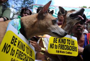 PHILIPPINES-NEW YEAR-ANIMAL RIGHTS