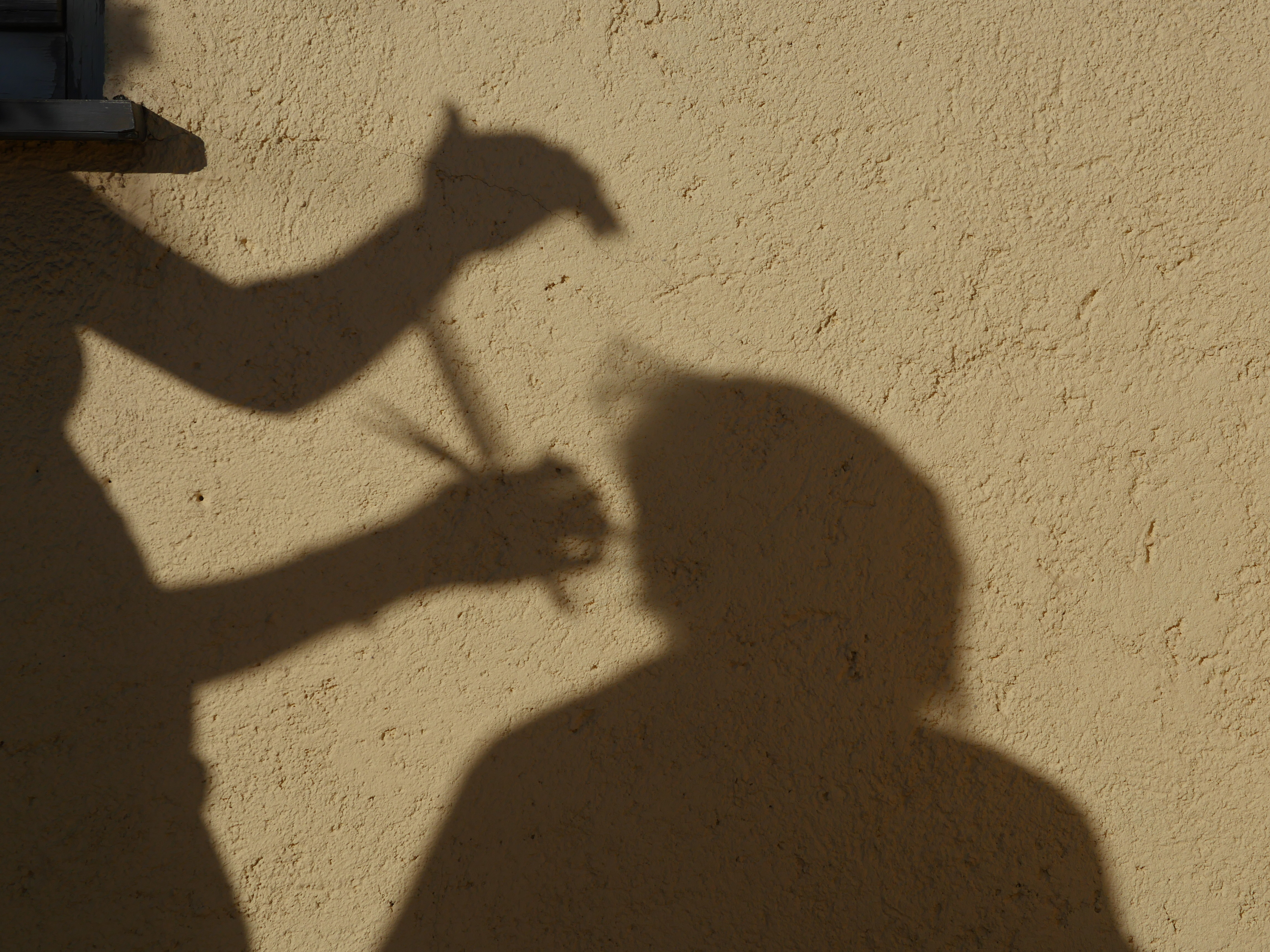Shadow Of Barber Cutting Hair On Wall