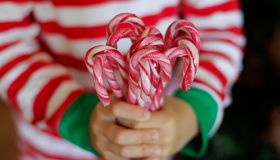 Little hands holding candy canes