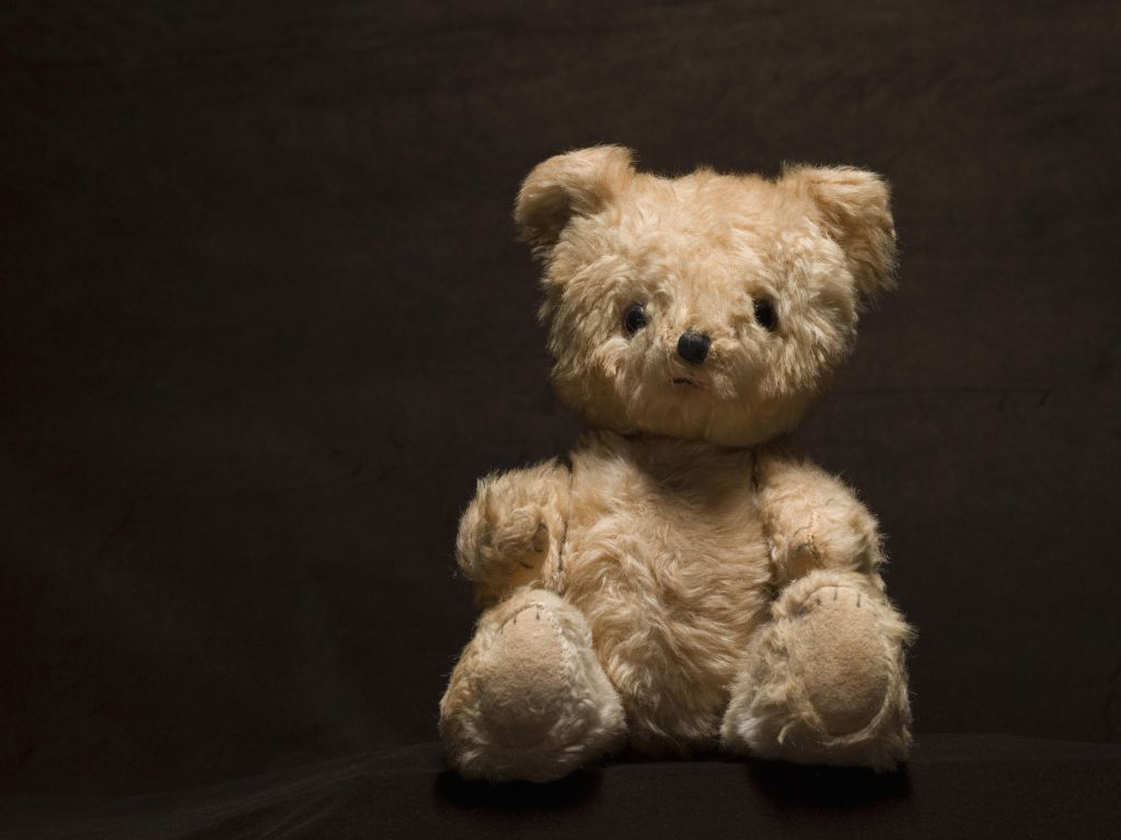 Teddy bear, studio shot