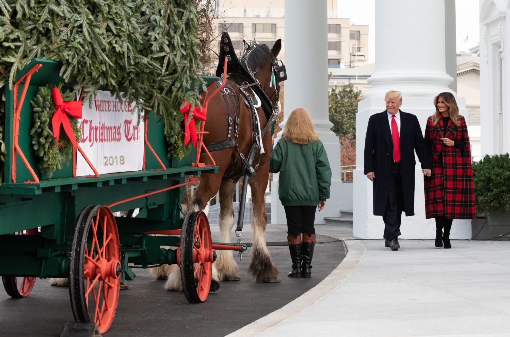The Official White House Christmas Tree presentation with US President Donald J. Trump and First Lady