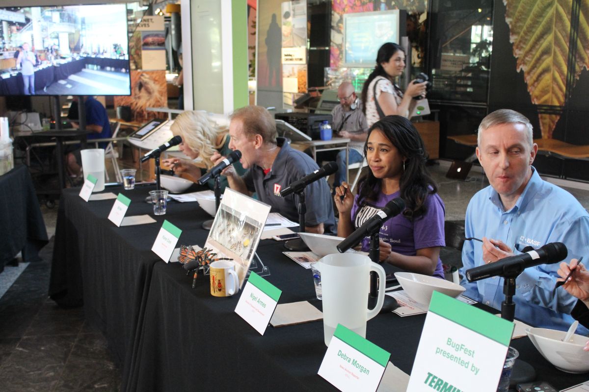 Bugfest 2019