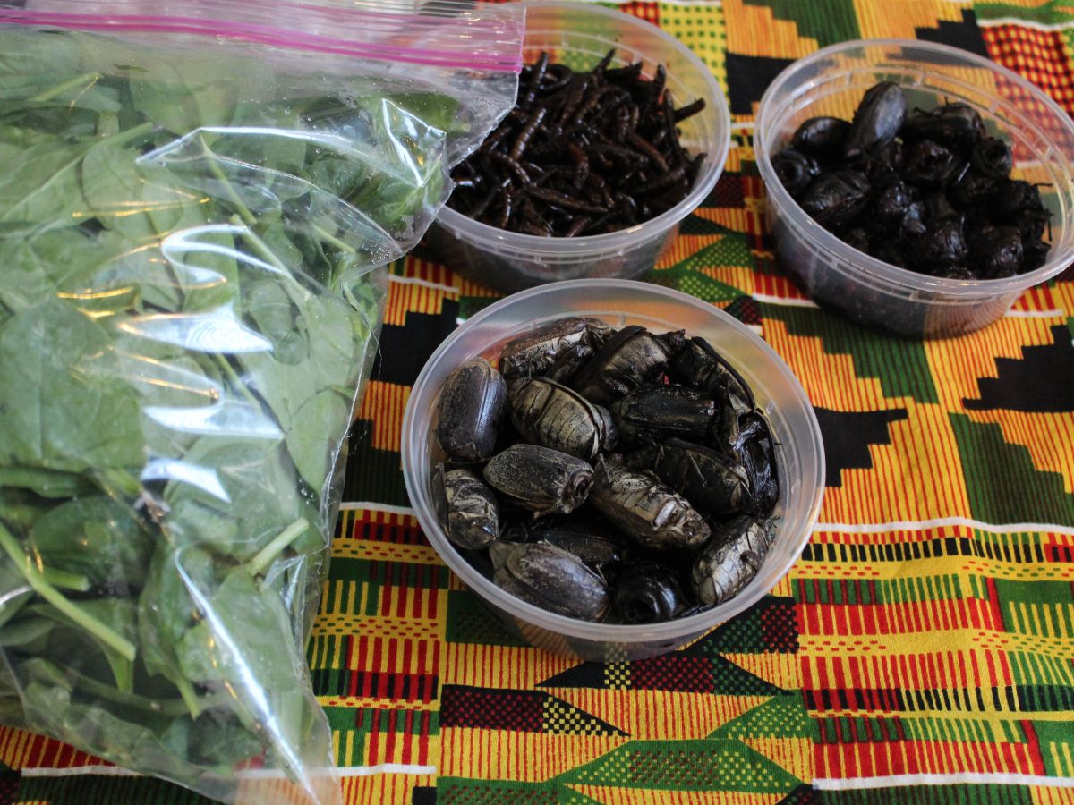 Bugfest 2019