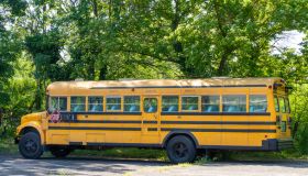 Old yellow school bus in front of green trees