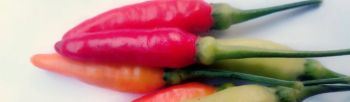 Chili peppers of various colors on a bright background