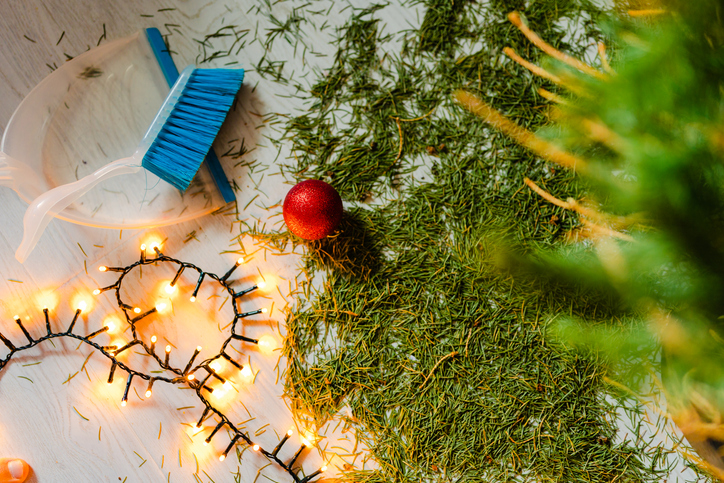 A needles that fell to the floor from a Christmas tree.