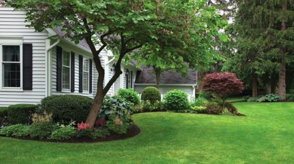 LOWES-GRASS