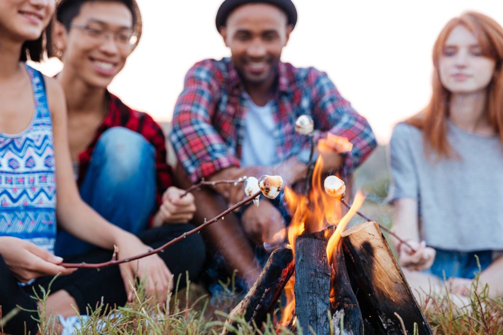 Roasting Marshmallows on the Campfire