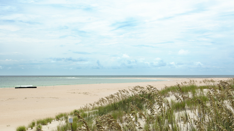 Sand Spit and Shallow Water With Dune Grass Foreground, Cape Hatteras National Seashore, North Carolina