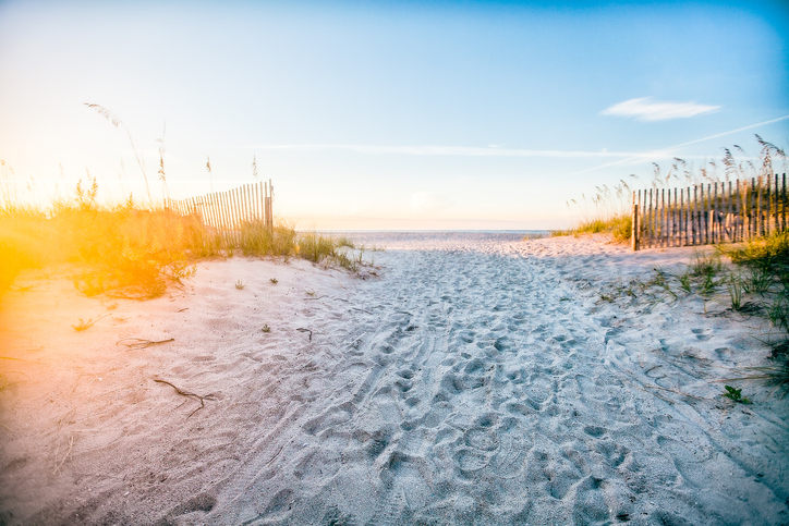 sunrise over beach grasses In Isle of Palms South Carolina