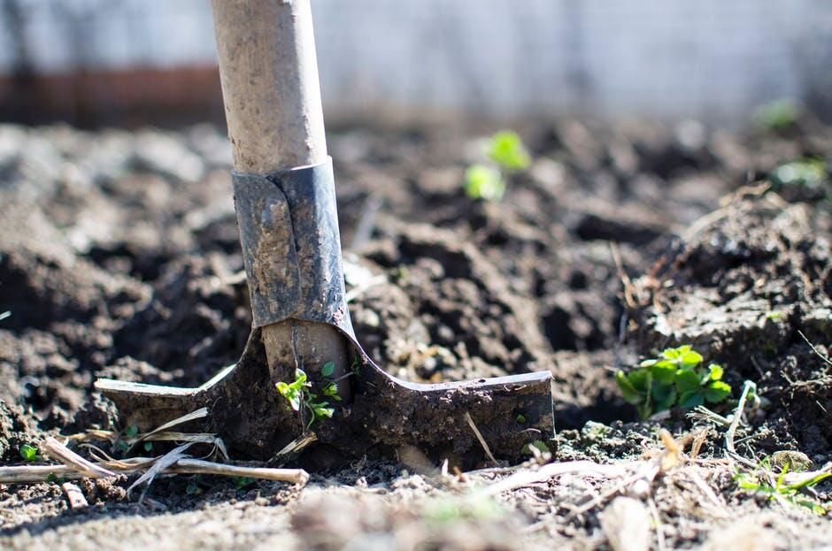 Healthy soil is becoming part of the climate resilience conversation
